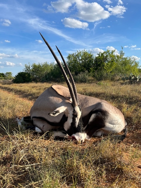 Exotic Hunts Available Exotic Hunts Available