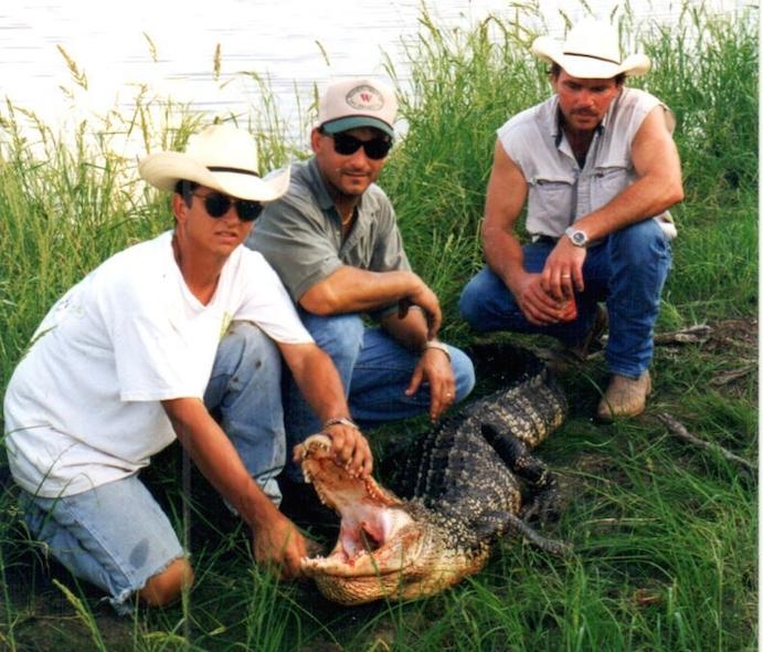 Alligator Alligator