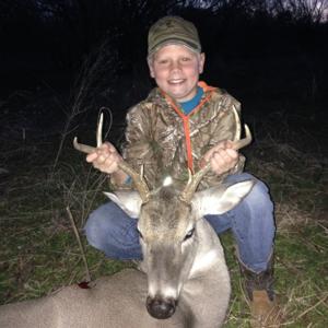 Whitetail