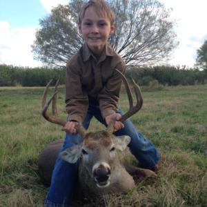 Whitetail