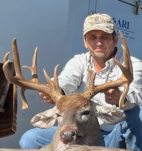 Whitetail