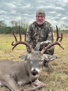 Whitetail