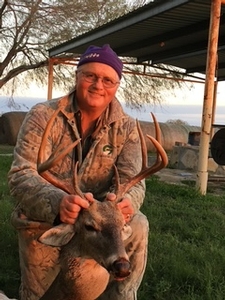 Whitetail