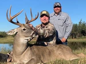 Whitetail