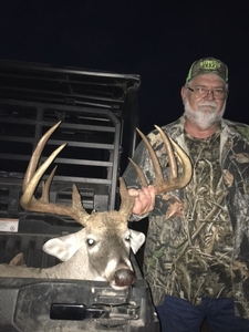 Whitetail
