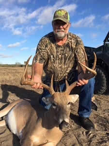 Whitetail