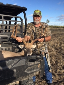 Whitetail