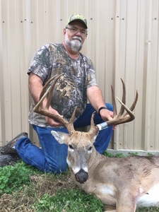 Whitetail