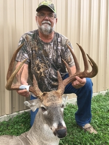 Whitetail
