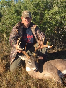 Whitetail
