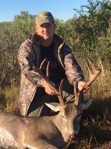 Whitetail