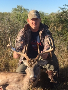 Whitetail