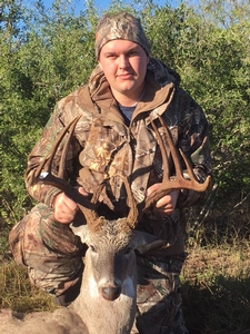 Whitetail