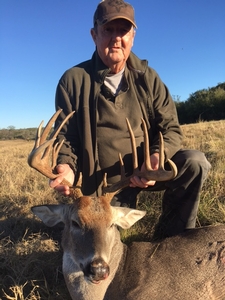 Whitetail