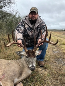Whitetail
