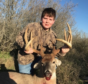 Whitetail