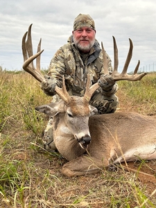 Whitetail