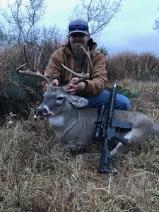 Whitetail