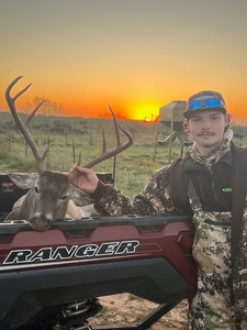 Whitetail