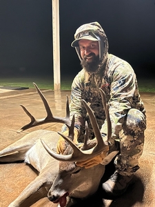 Whitetail