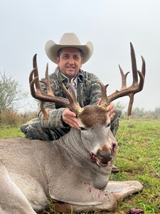 Whitetail
