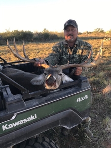 Whitetail