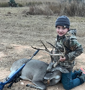 Whitetail