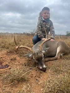 Whitetail