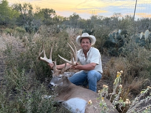 Whitetail