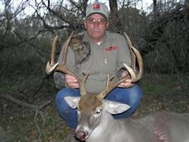 Whitetail